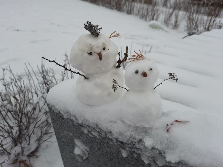 Снежные зёрна и мороз: погода в Астраханской области на следующую неделю