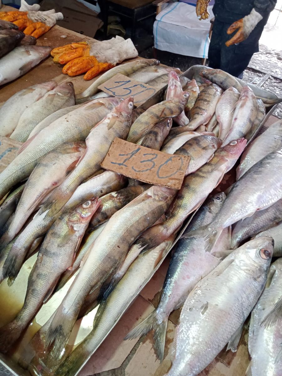 Рыба в астрахани есть. Астраханская рыба. Рыбы Астраханской области. Рынок декоративной рыбы. На рынке.