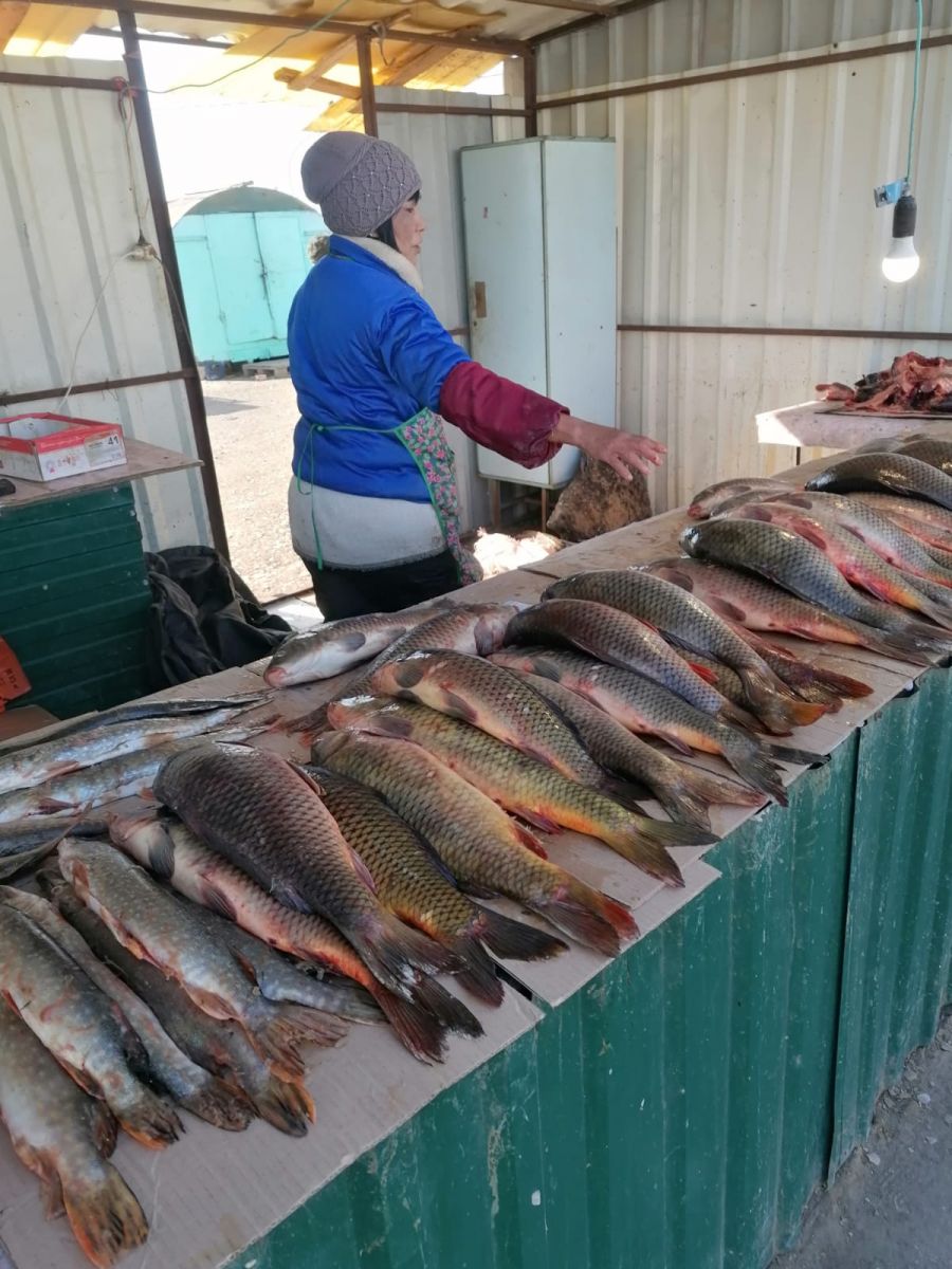 Рыба в астрахани есть. Рынок Селенские Исады в Астрахани. Рыбный рынок в Темрюке 2023. Астраханский рыбный рынок. Селенские Исады Астрахань рыбный рынок.