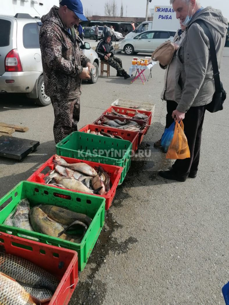 Рынки Астрахани ломятся от рыбы. Почем это богатство