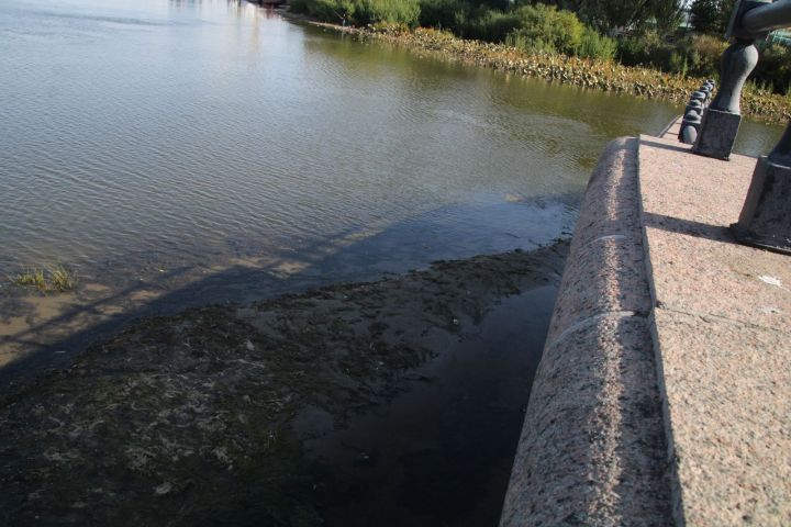 что сейчас с рыбалкой в астраханской области