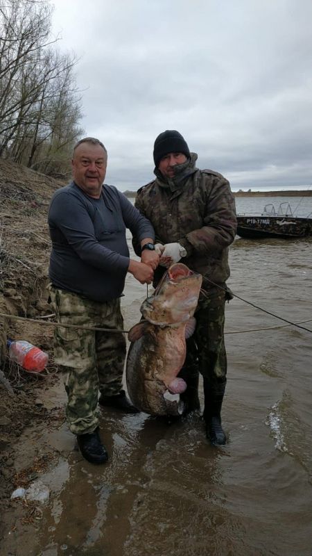 Два рыбака поймали. Огромный улов. Рыбалка в Астраханской области. Рыбалка в Астрахани фото.