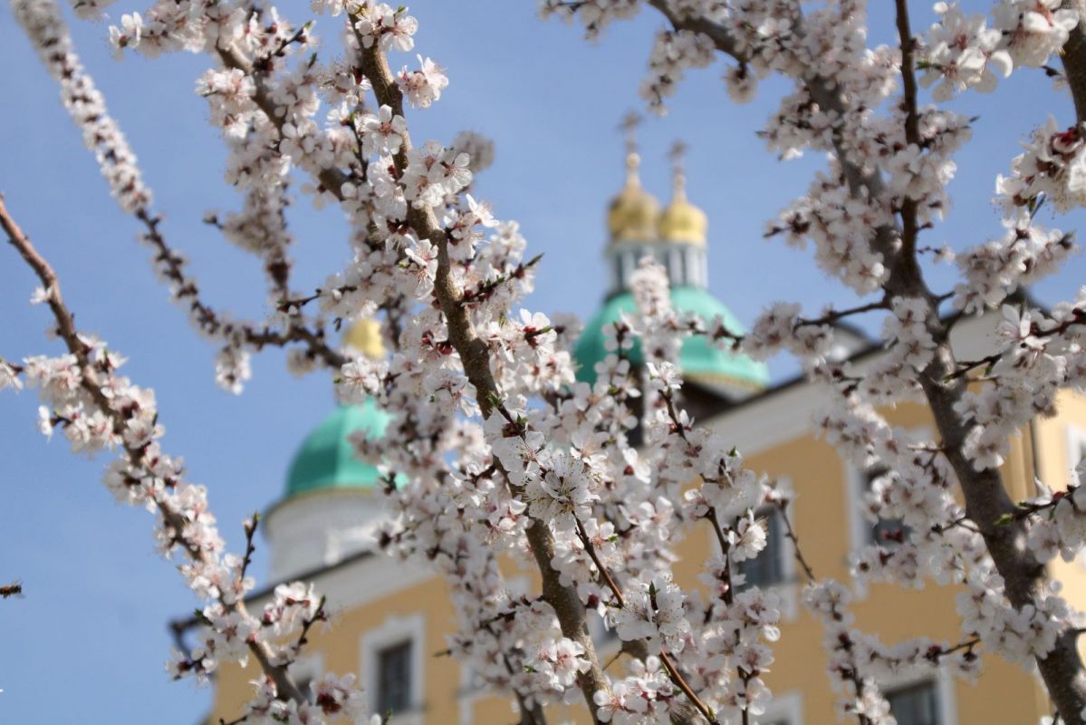 Астрахань в апреле фото