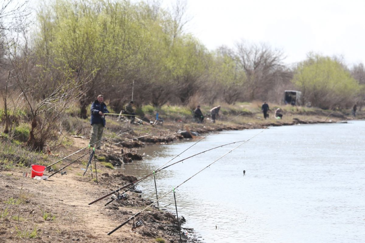 В Астраханской области начался рыбный сезон