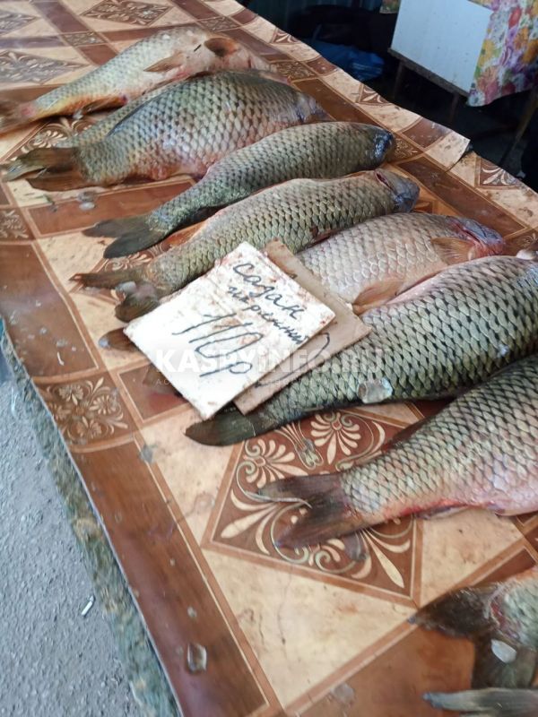 Рыба Недорого Казань