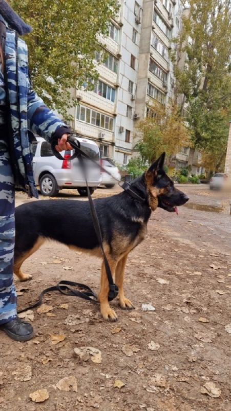 КаспийИнфо. Новости Астрахани и региона