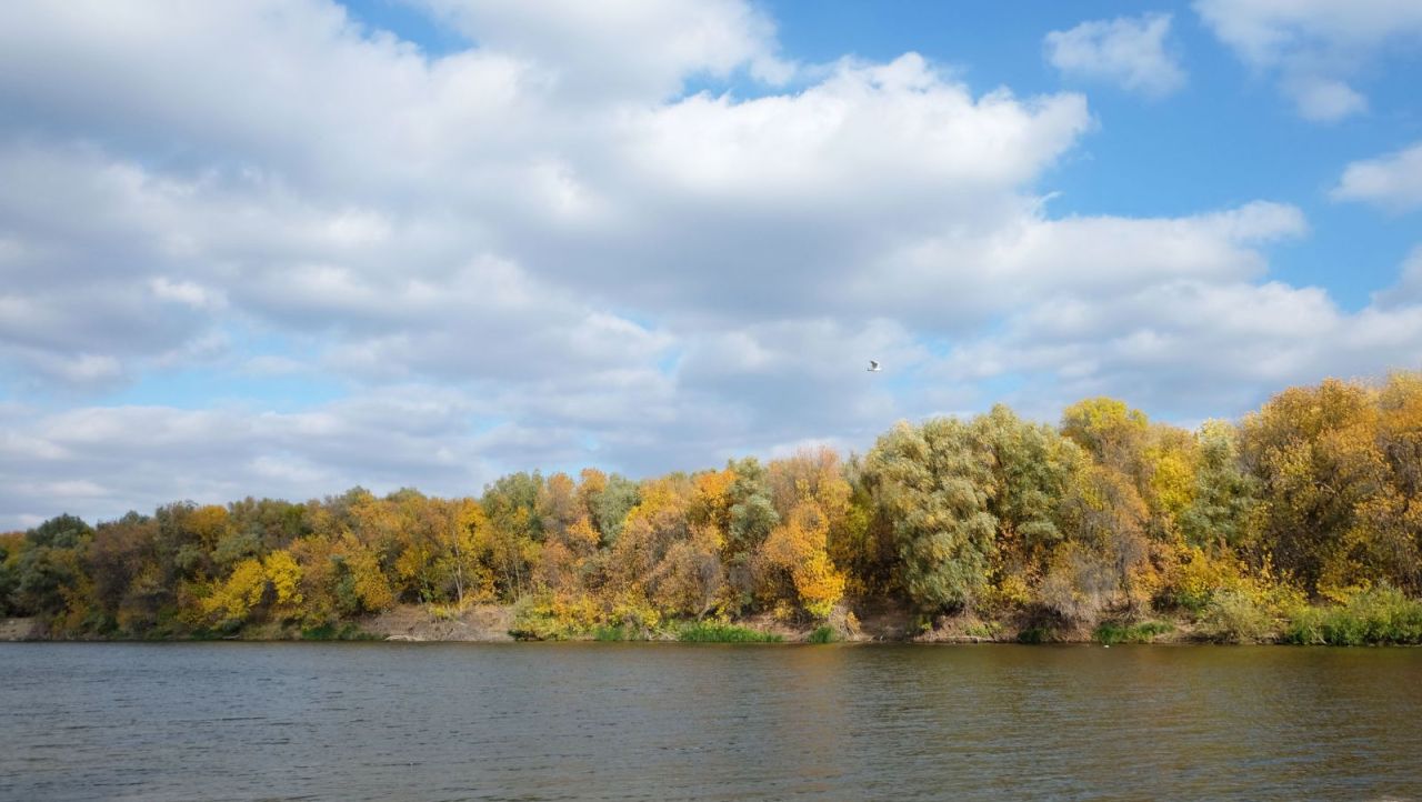 Сколько жизней унесла вода в прошлом году в Астраханской области