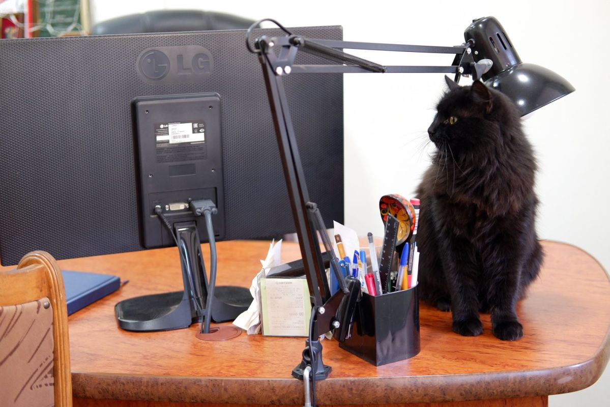 КаспийИнфо. Новости Астрахани и региона