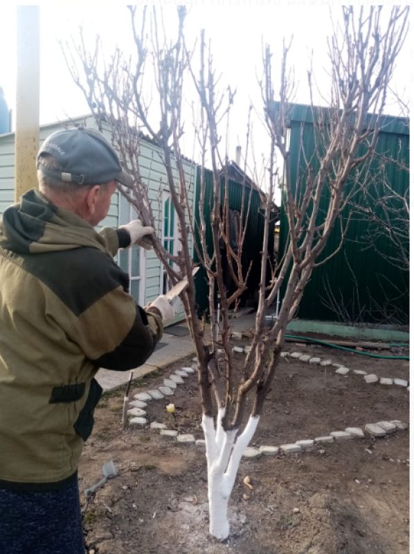 КаспийИнфо. Новости Астрахани и региона
