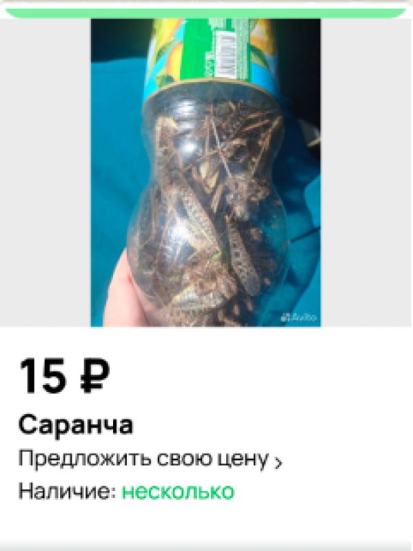 КаспийИнфо. Новости Астрахани и региона