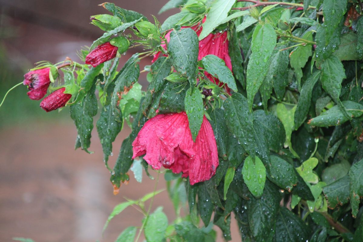 КаспийИнфо. Новости Астрахани и региона