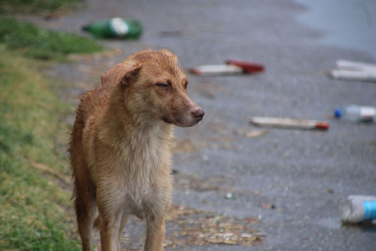 КаспийИнфо. Новости Астрахани и региона