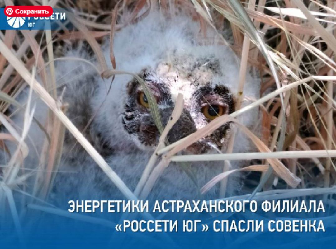 КаспийИнфо. Новости Астрахани и региона