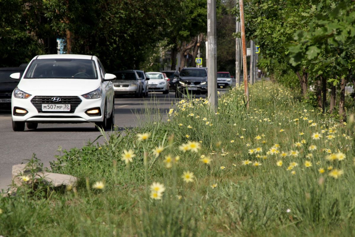КаспийИнфо. Новости Астрахани и региона