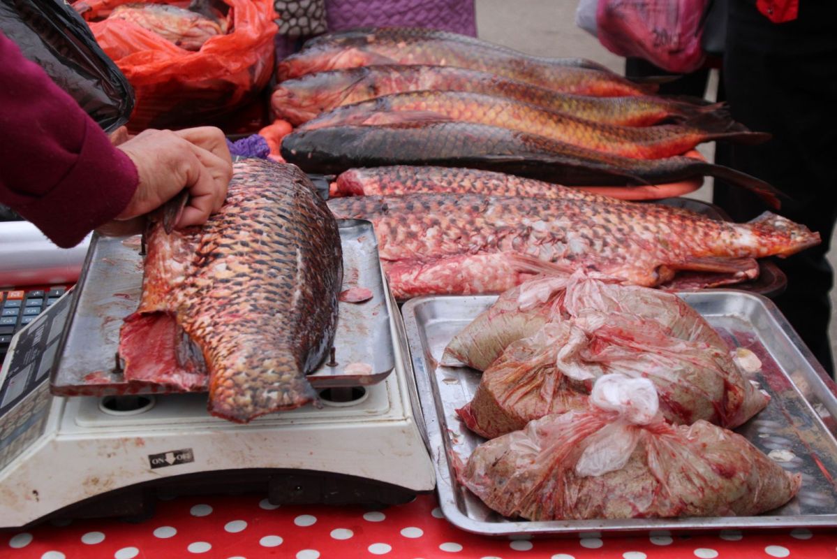 КаспийИнфо. Новости Астрахани и региона