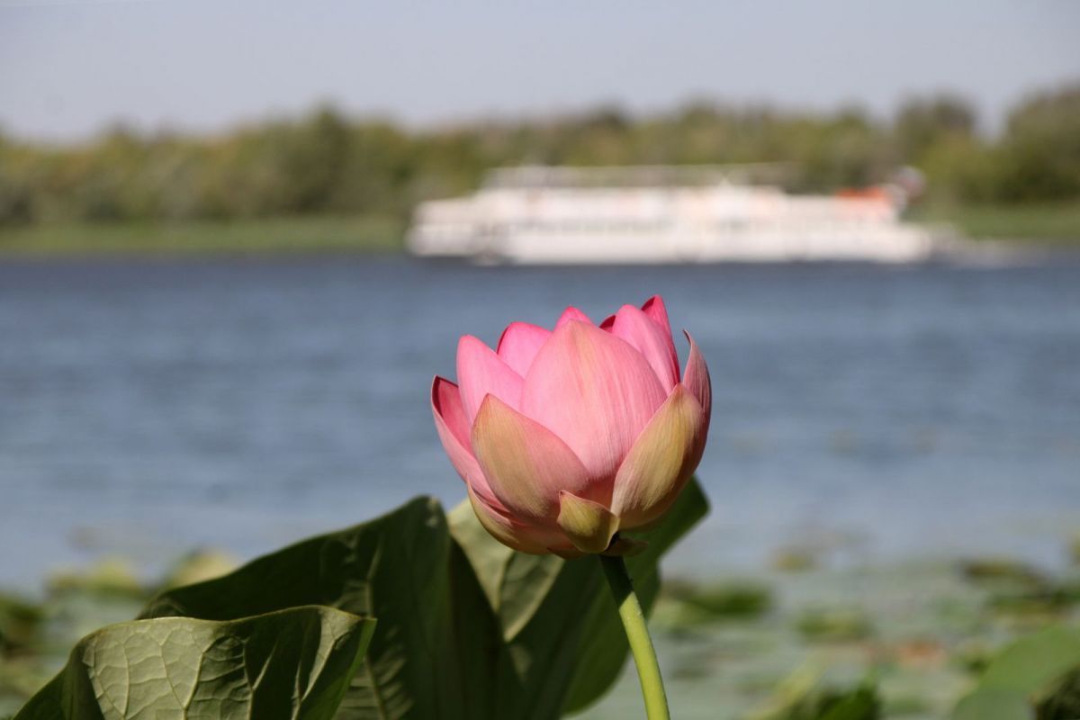 КаспийИнфо. Новости Астрахани и региона