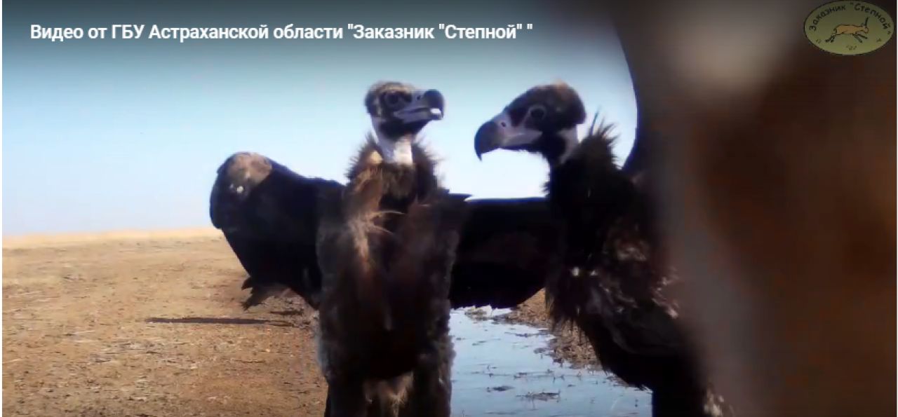 КаспийИнфо. Новости Астрахани и региона
