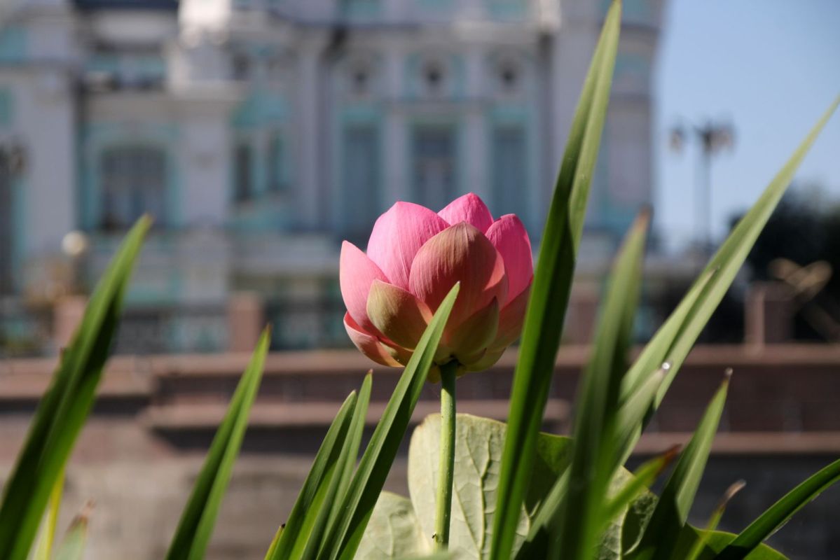 КаспийИнфо. Новости Астрахани и региона