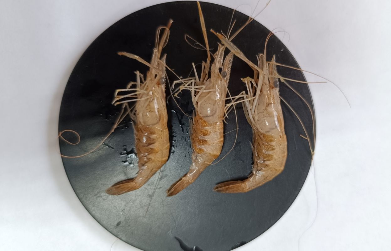 КаспийИнфо. Новости Астрахани и региона