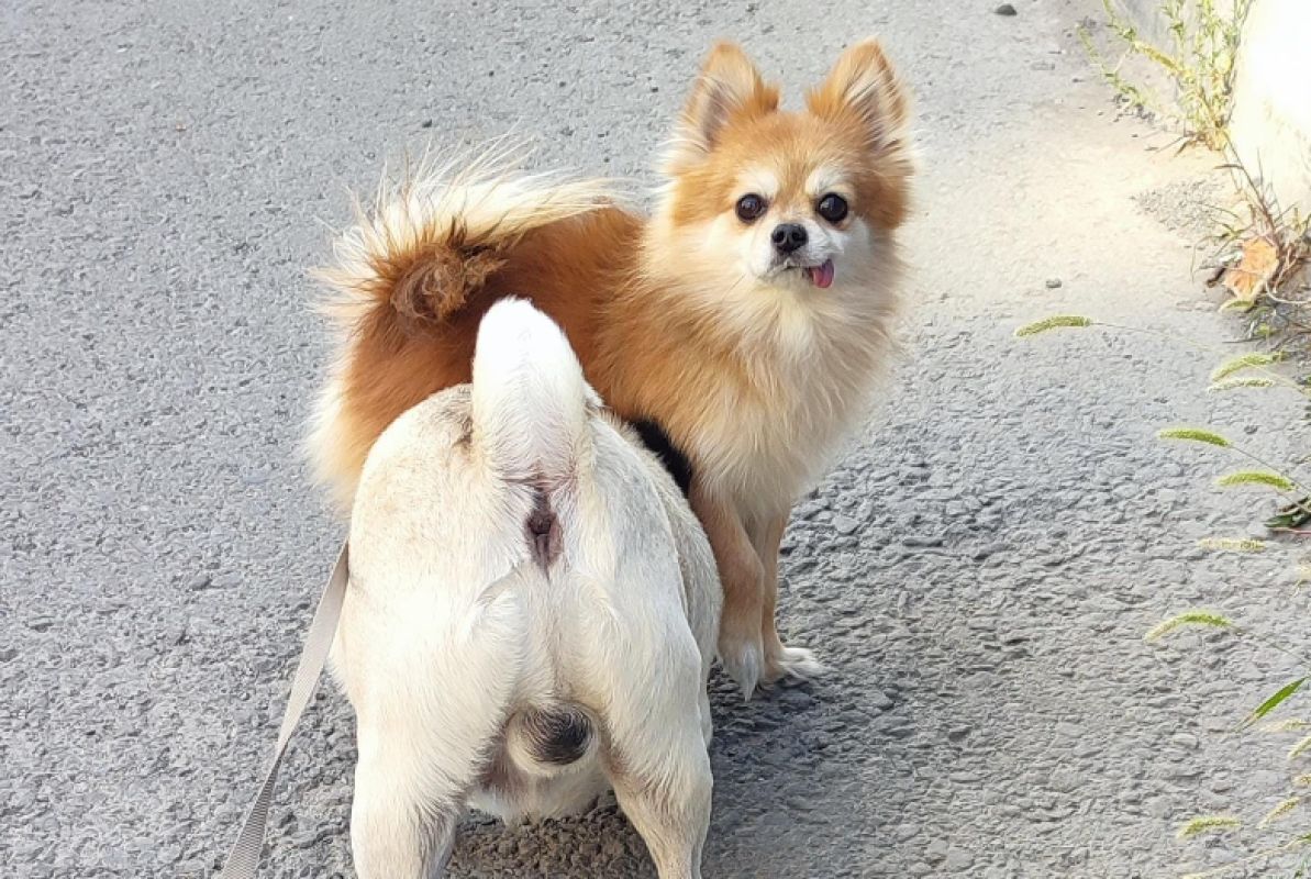 КаспийИнфо. Новости Астрахани и региона