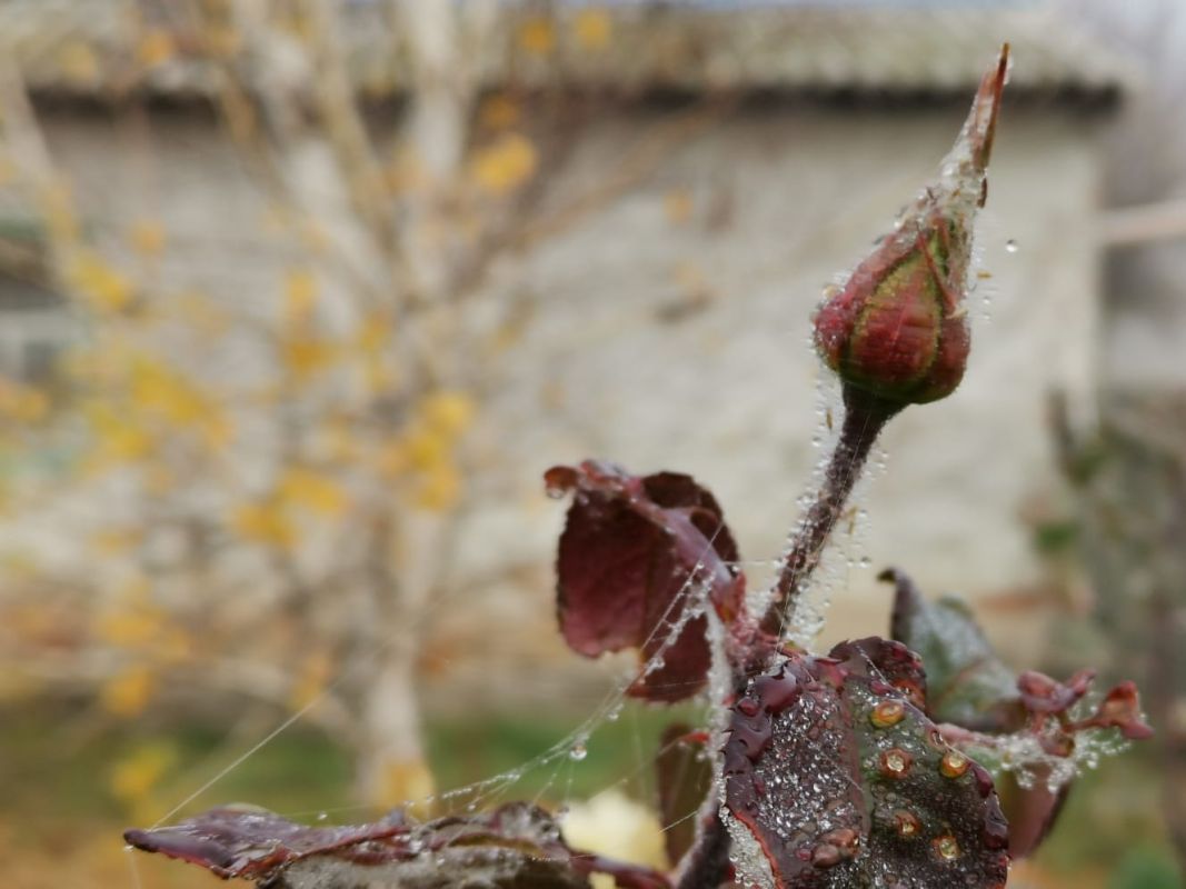 КаспийИнфо. Новости Астрахани и региона