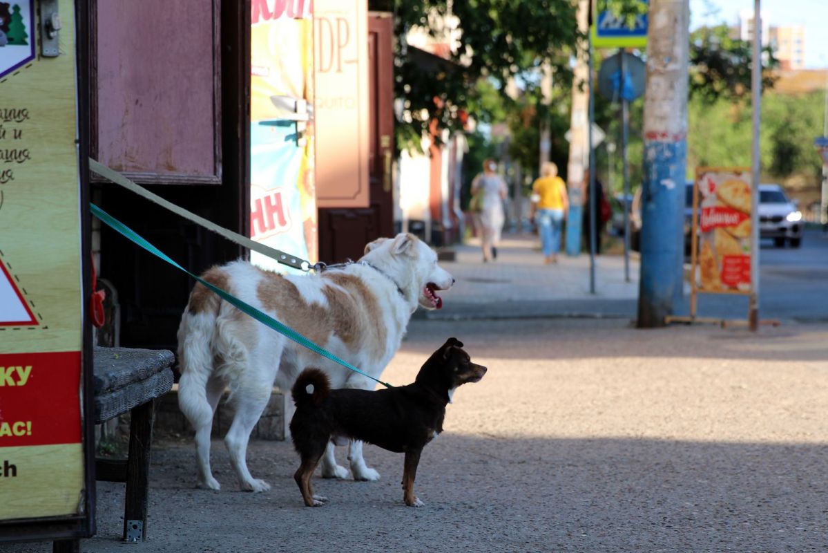 КаспийИнфо. Новости Астрахани и региона