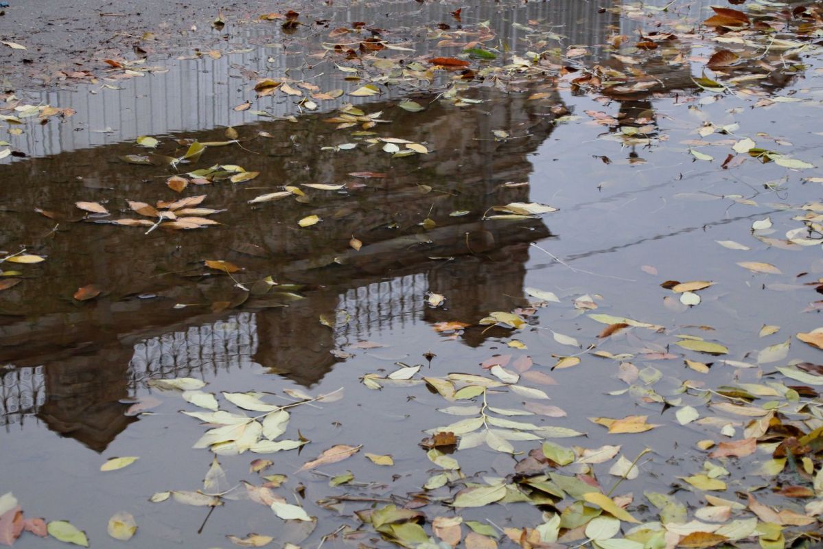 КаспийИнфо. Новости Астрахани и региона