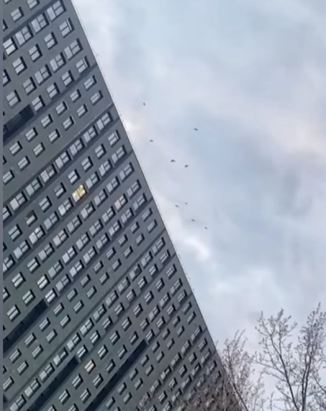 То самый ЖК, где хулиганят вороны