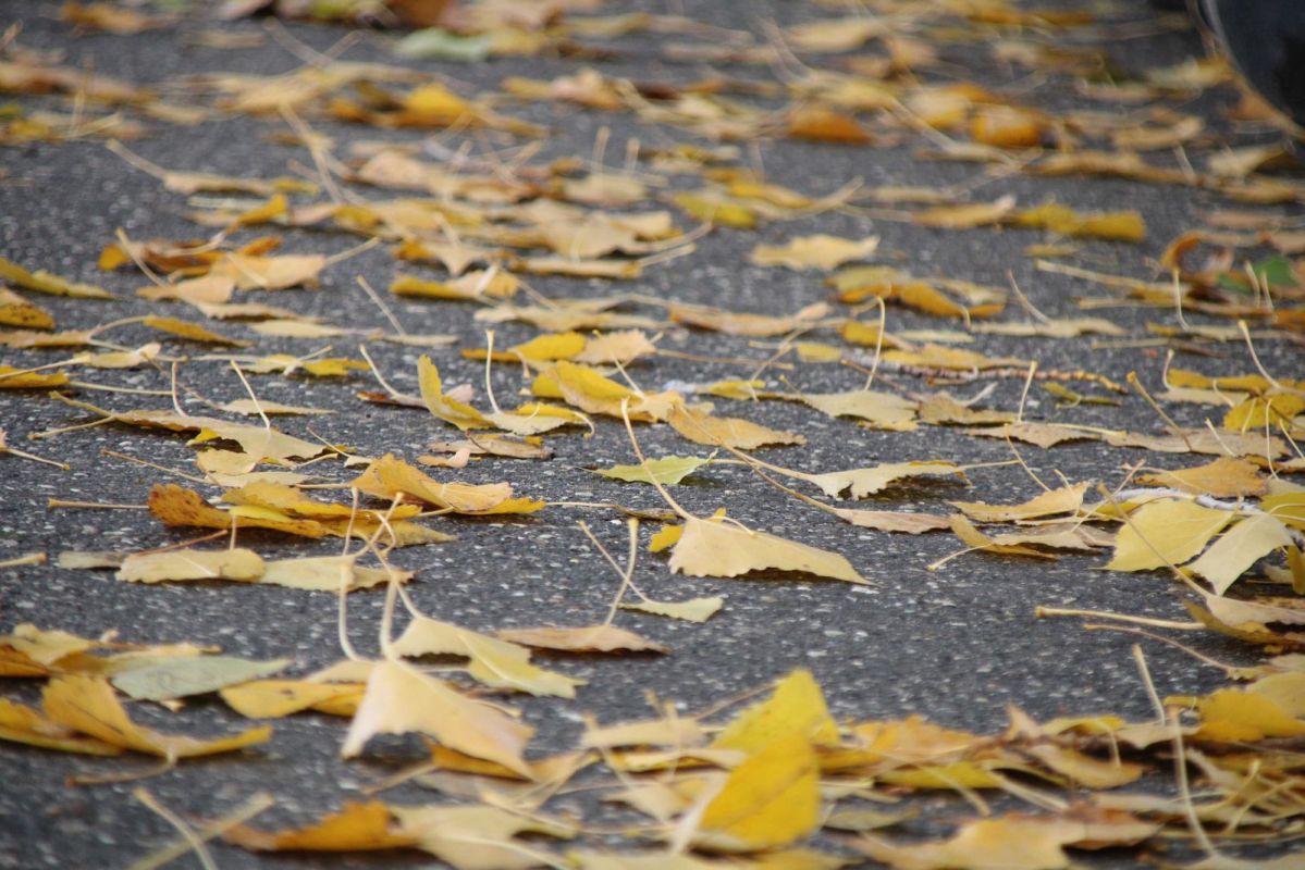 КаспийИнфо. Новости Астрахани и региона