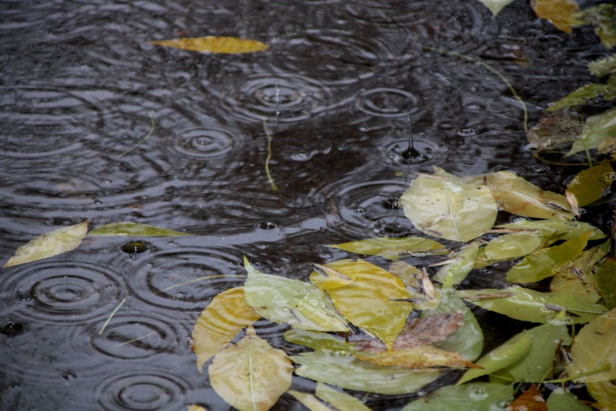 КаспийИнфо. Новости Астрахани и региона