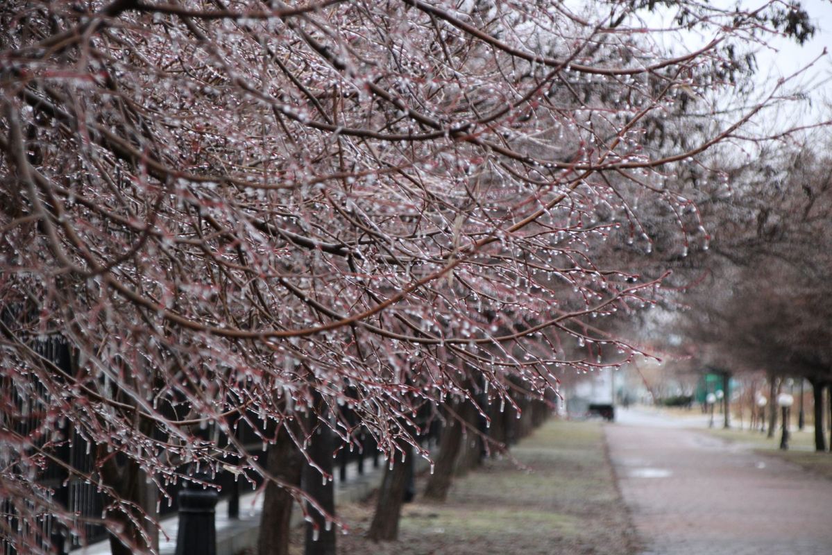КаспийИнфо. Новости Астрахани и региона