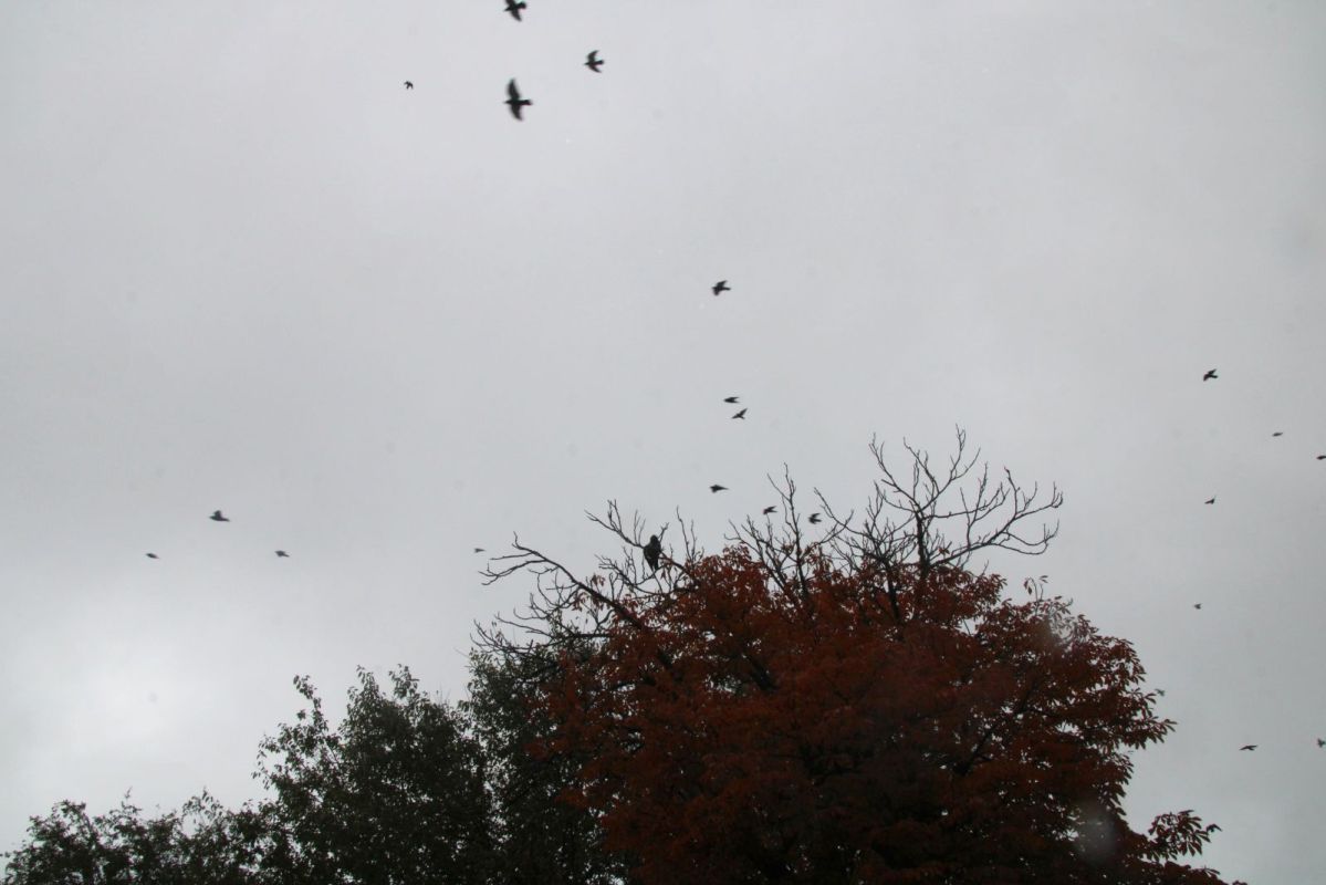 КаспийИнфо. Новости Астрахани и региона