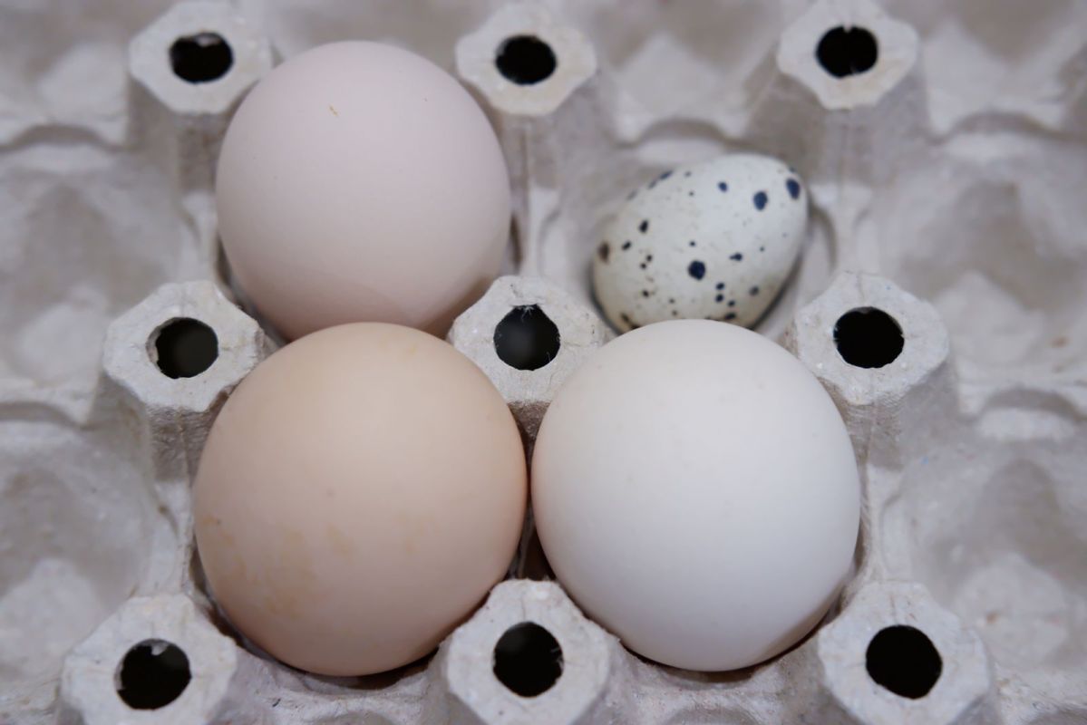 КаспийИнфо. Новости Астрахани и региона