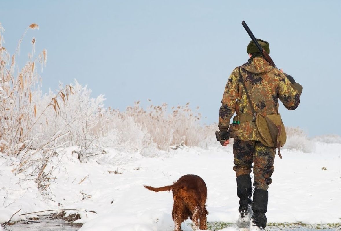 КаспийИнфо. Новости Астрахани и региона