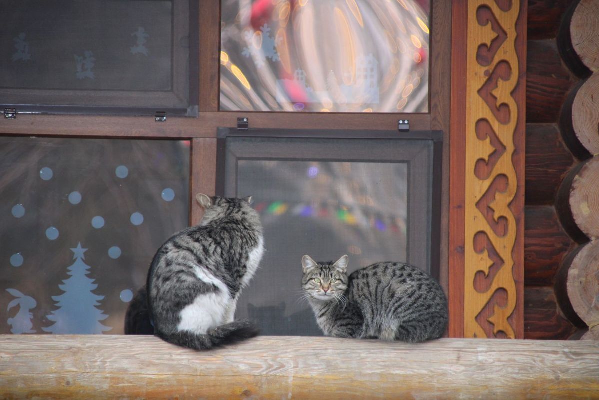 КаспийИнфо. Новости Астрахани и региона