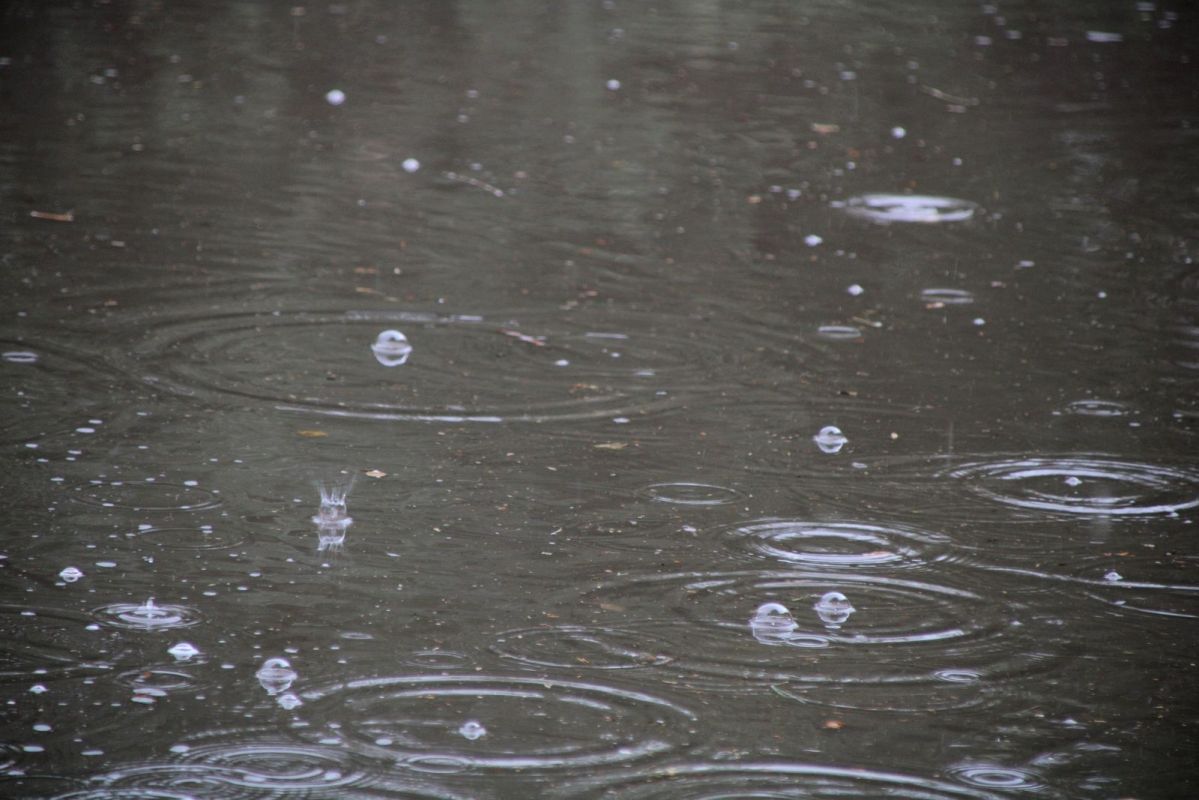 КаспийИнфо. Новости Астрахани и региона