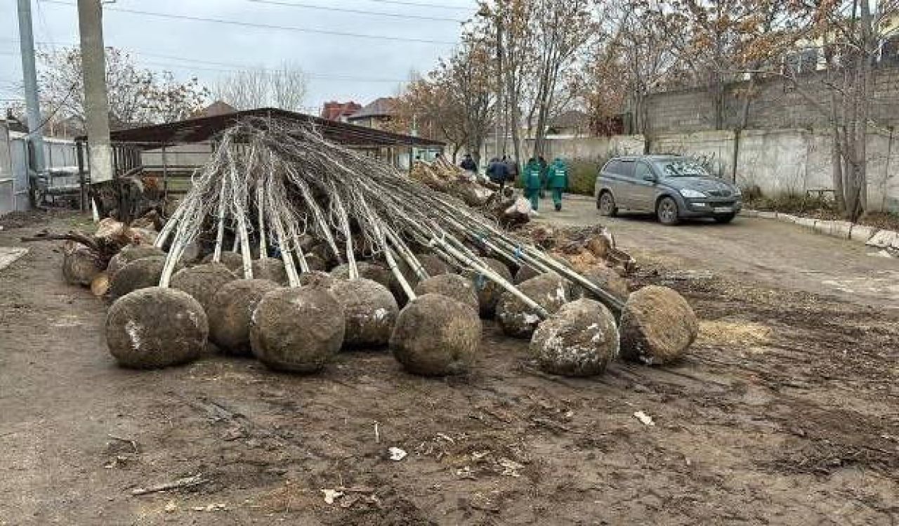 КаспийИнфо. Новости Астрахани и региона