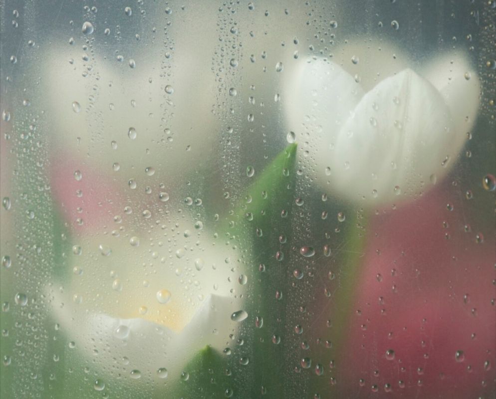 Фото © freepik.com