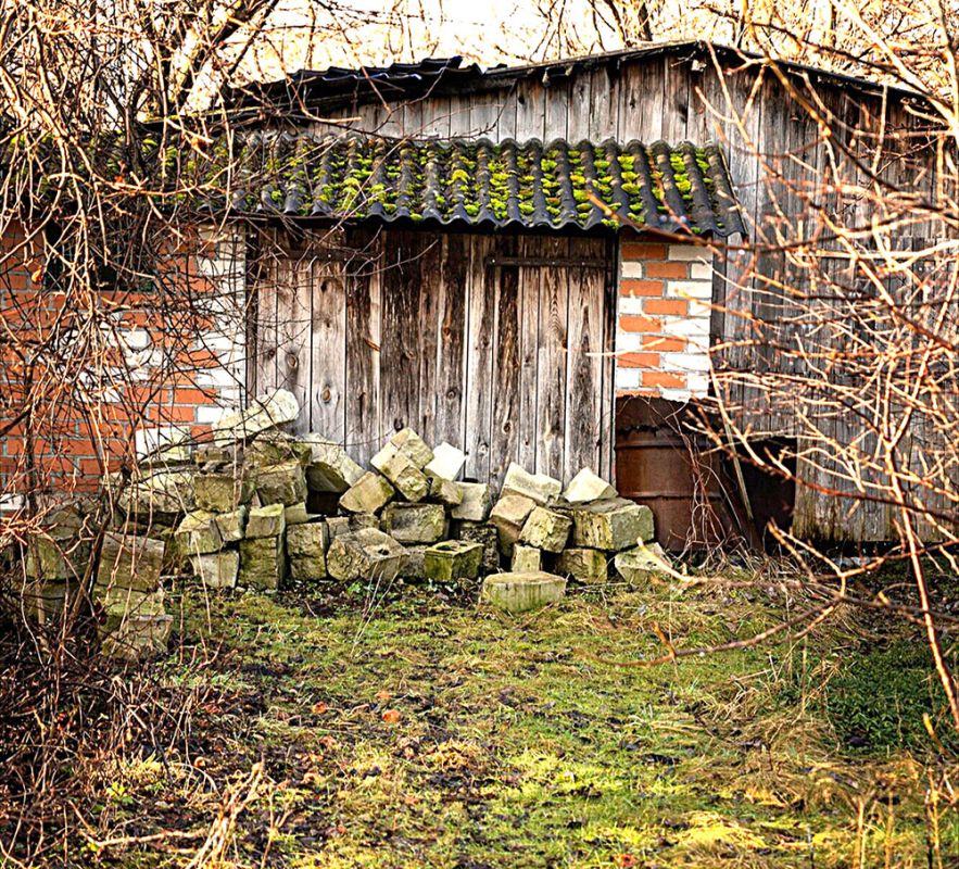 Фото © freepik.com