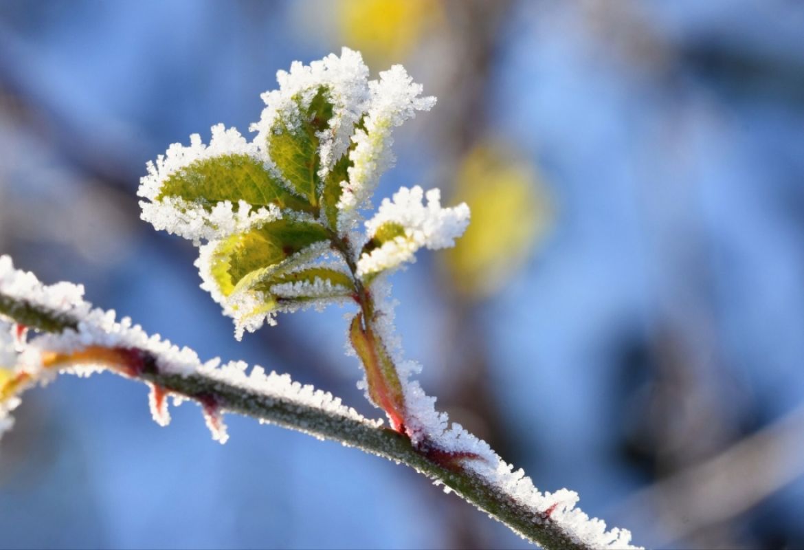 Фото © freepik.com