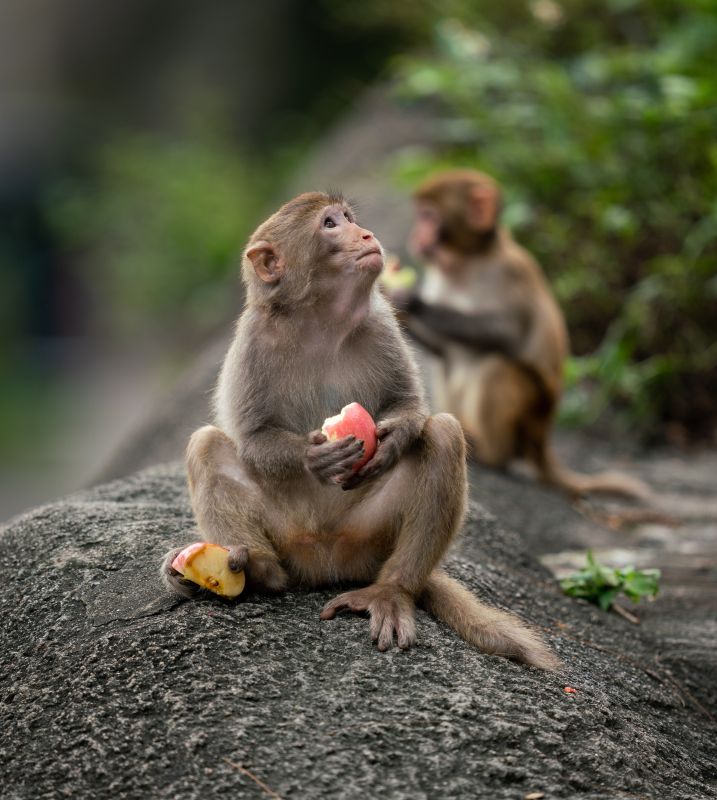 Фото © freepik.com