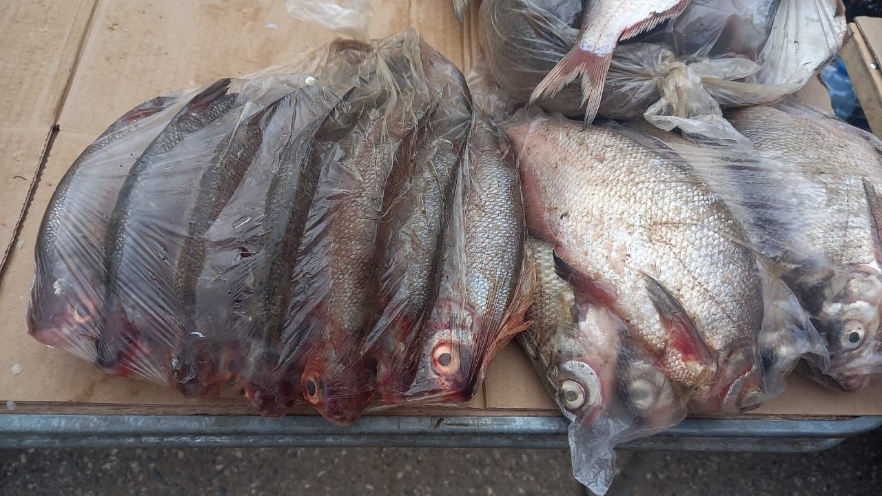 КаспийИнфо. Новости Астрахани и региона