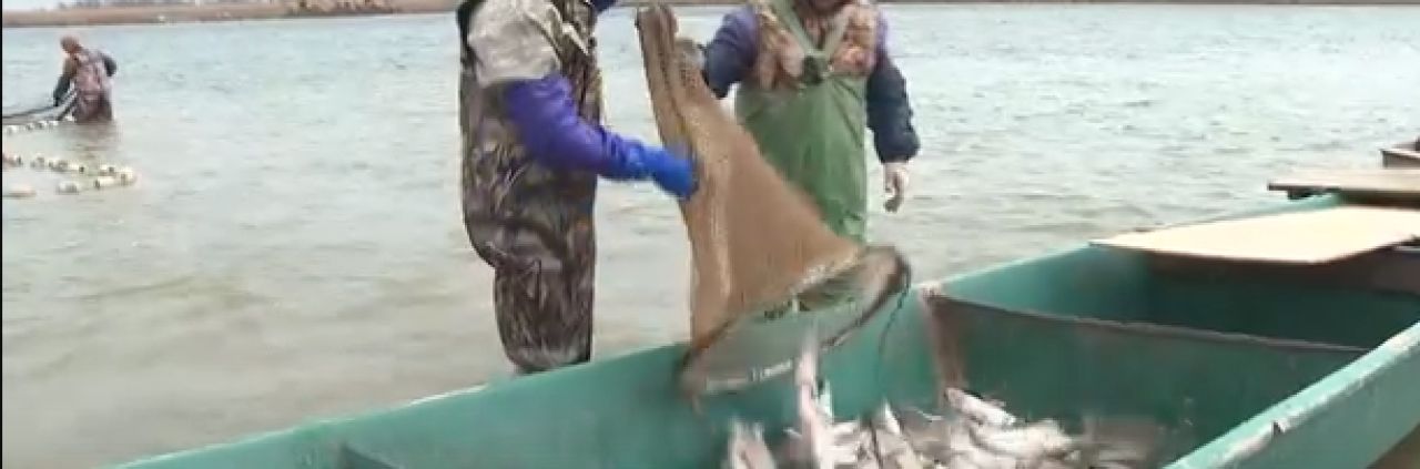 КаспийИнфо. Новости Астрахани и региона