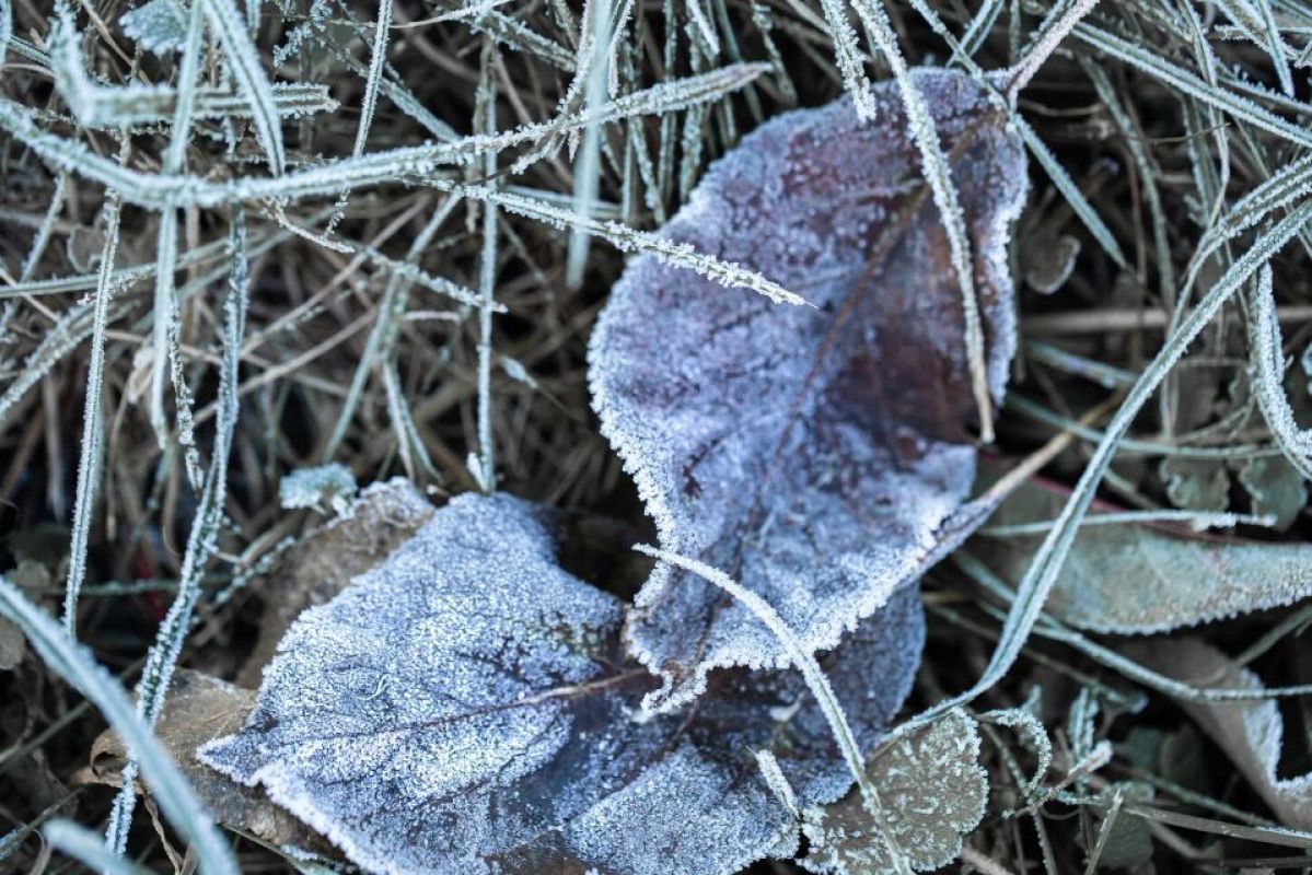Фото © freepik.com