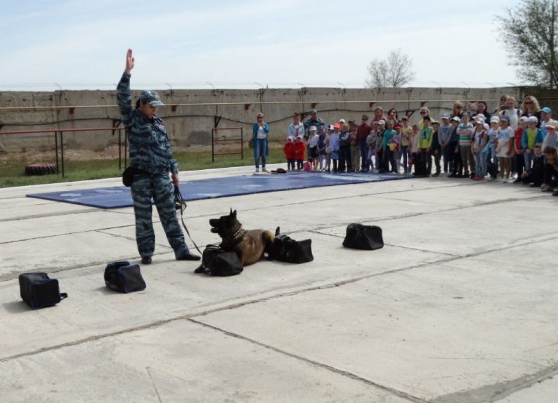 КаспийИнфо. Новости Астрахани и региона