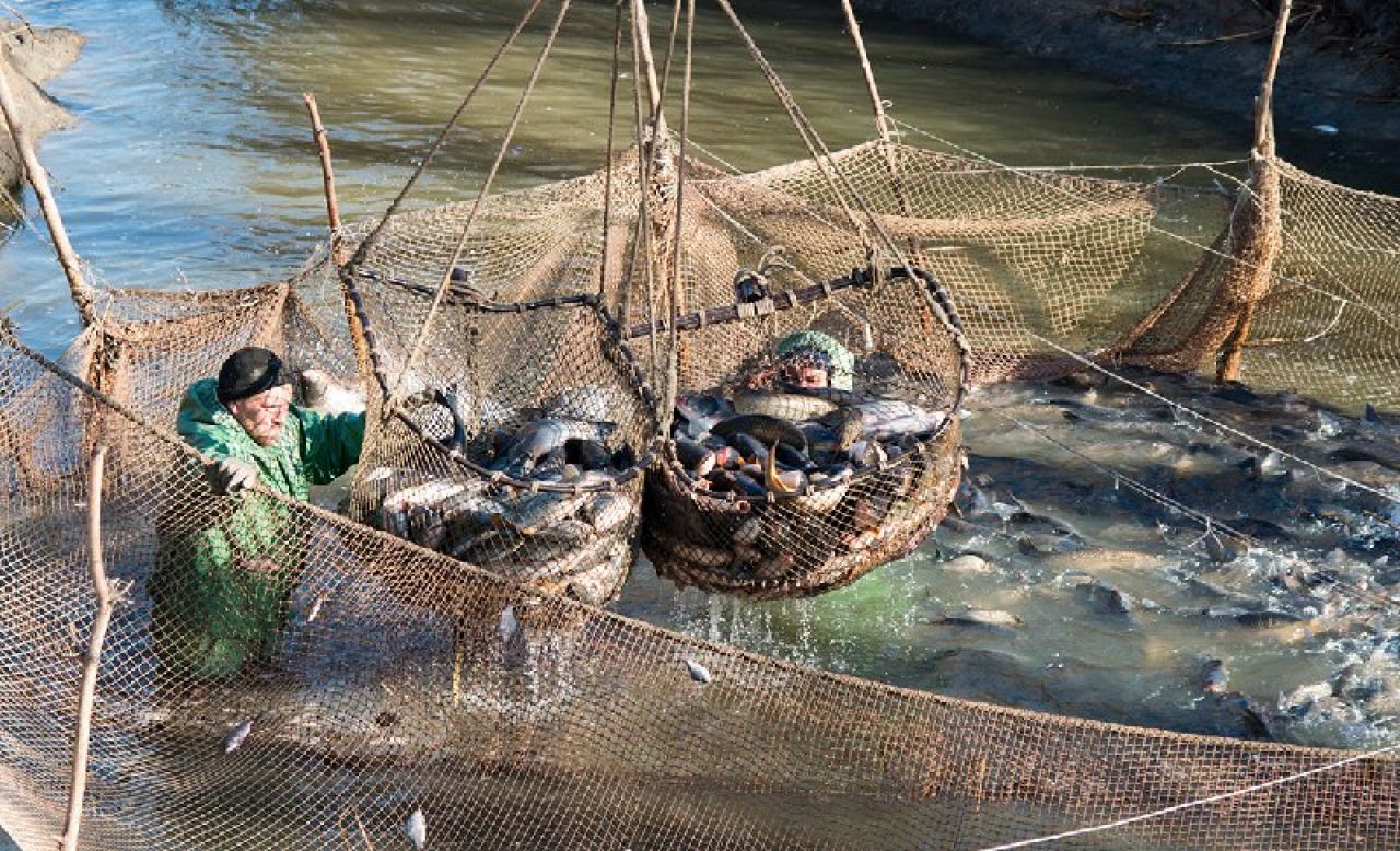 КаспийИнфо. Новости Астрахани и региона