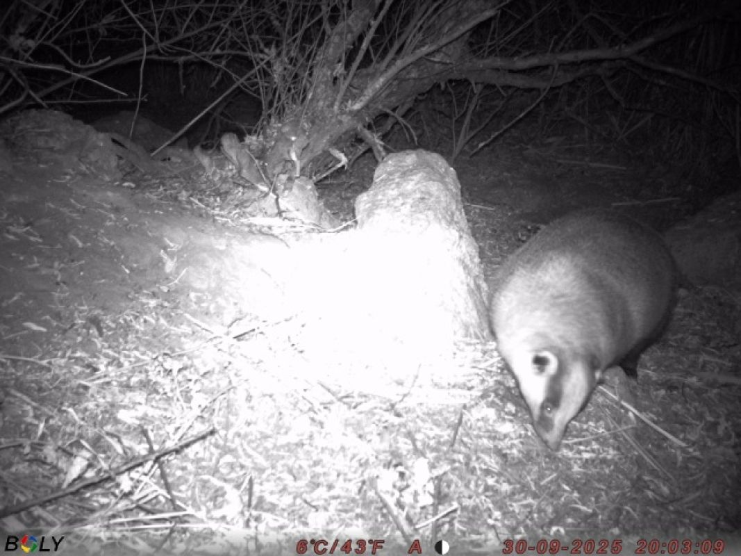 КаспийИнфо. Новости Астрахани и региона