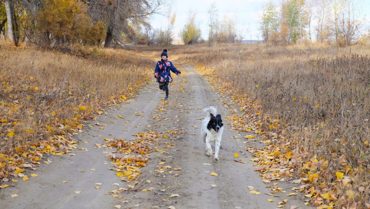 КаспийИнфо. Новости Астрахани и региона
