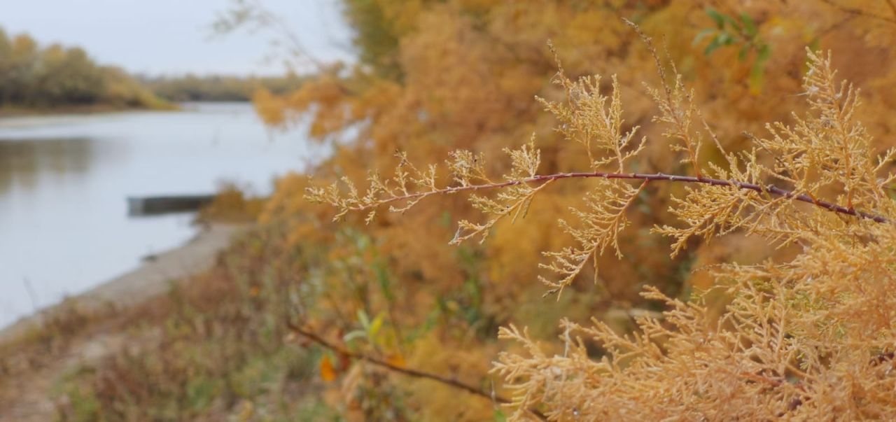 КаспийИнфо. Новости Астрахани и региона