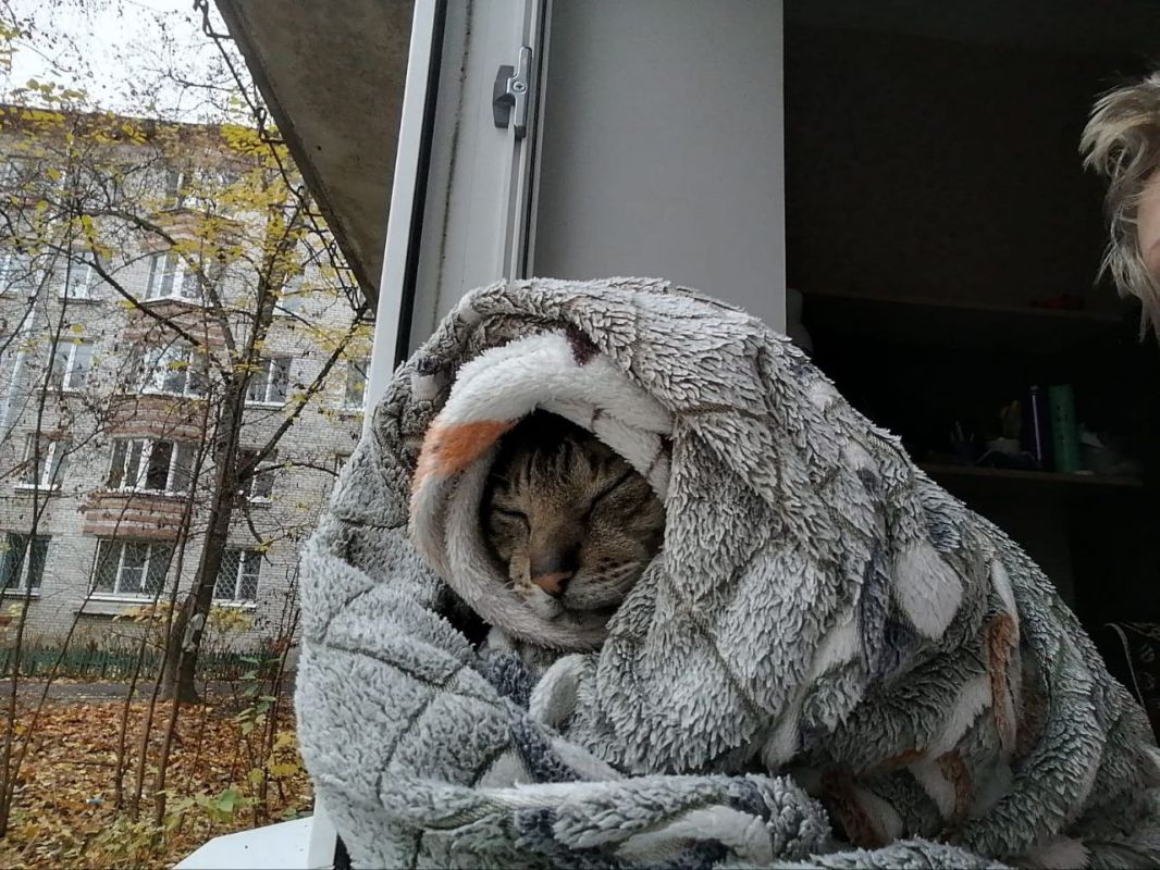 КаспийИнфо. Новости Астрахани и региона